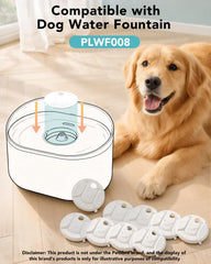 AWoHH préfiltre en mousse montrant capture des poils pour pompe protégée