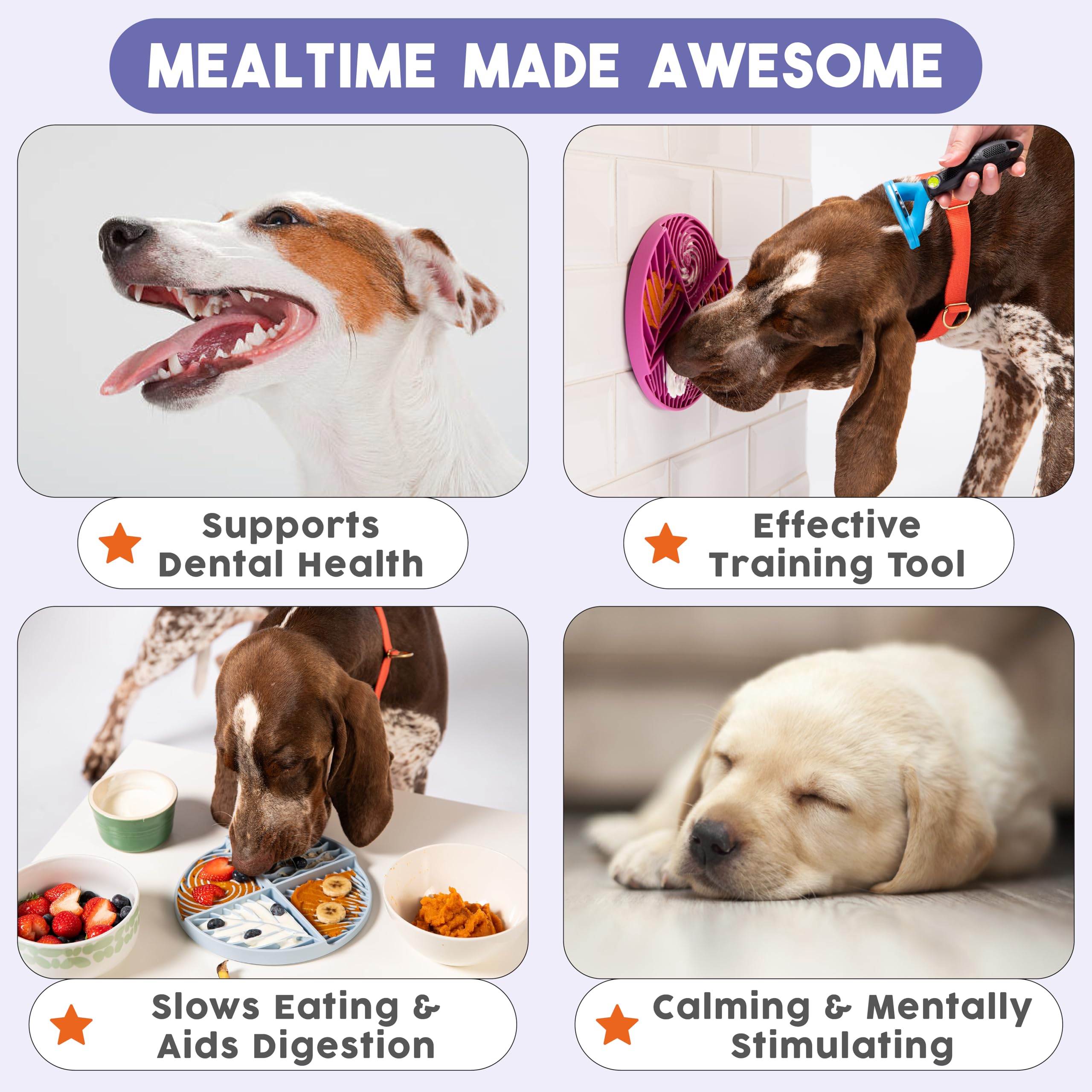 Awoo aliments étalés sur le tapis illustrant méthodes de remplissage variées