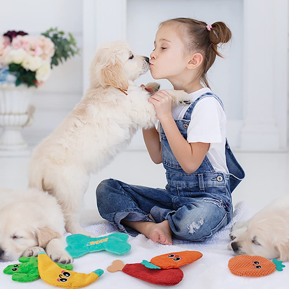 AWOOF chien jouant avec jouet, divertissement et activité physique
