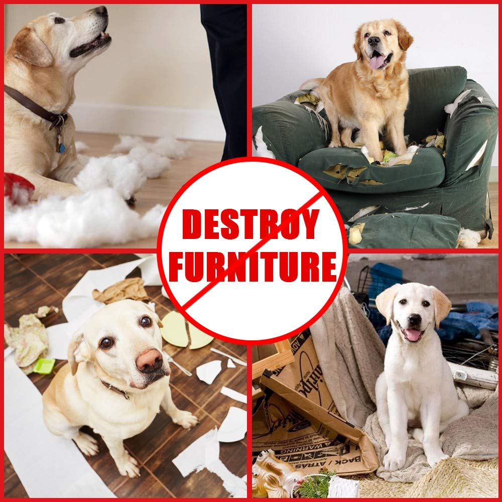 AWOOF comparaison taille montrant échelle et adaptabilité pour chiens