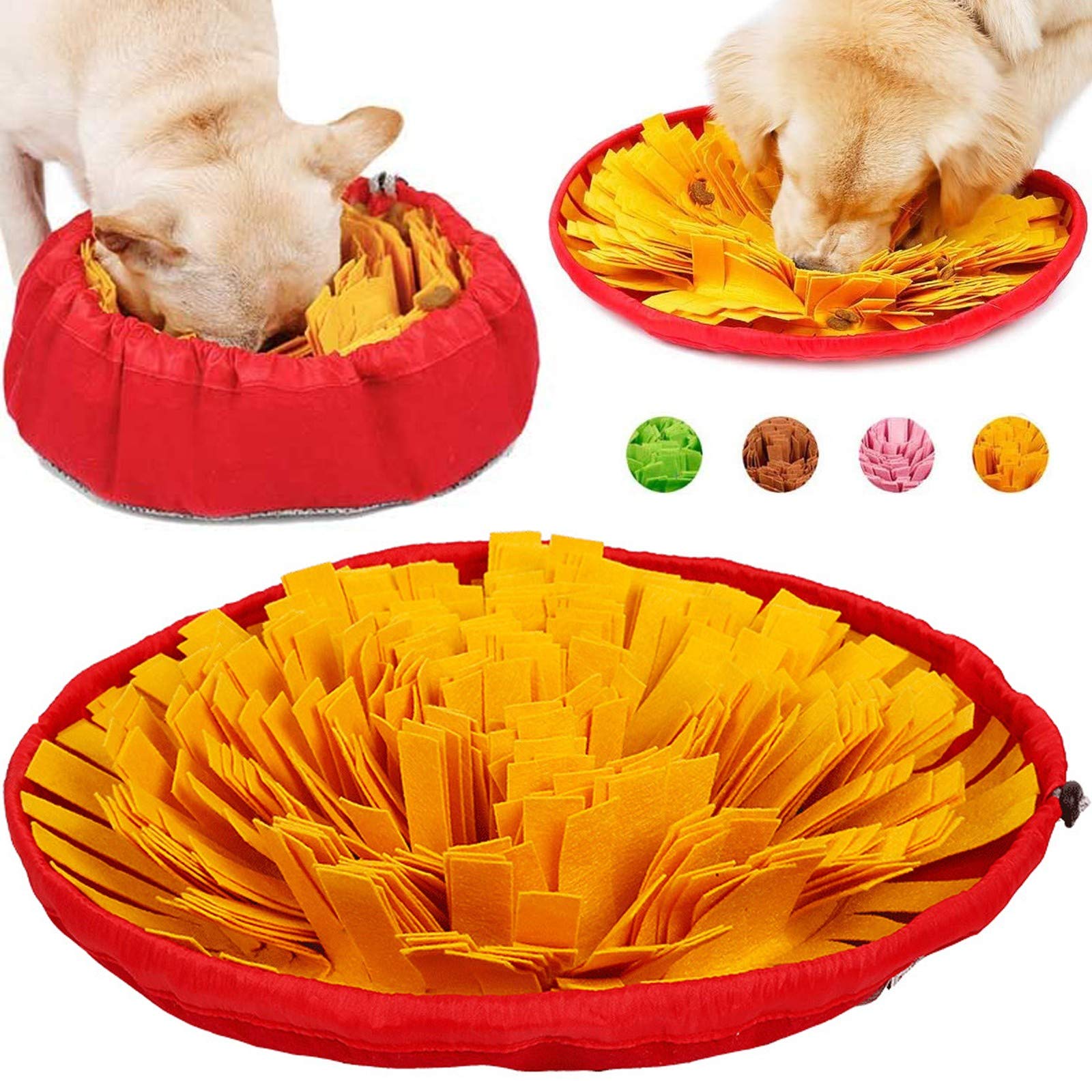 AWOOF chien en train de fouiller le tapis et solliciter son odorat
