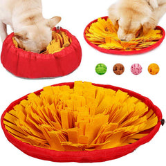 AWOOF chien en train de fouiller le tapis et solliciter son odorat