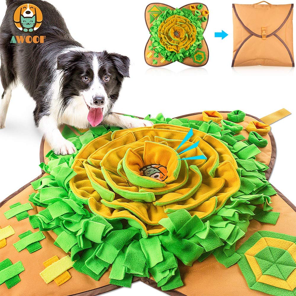 AWOOF tapis de fouille face avant montrant zones de cache et divertissement