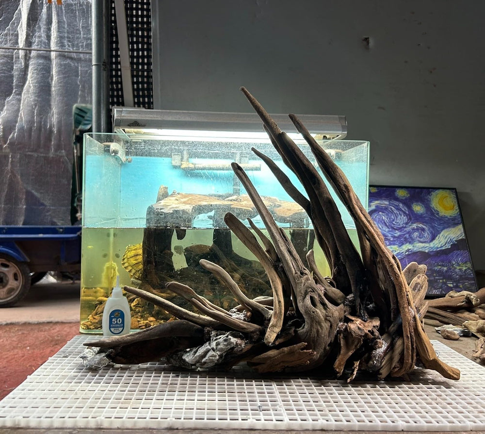 AWXZOM branche installée aquarium offrant cachettes et support de plantes