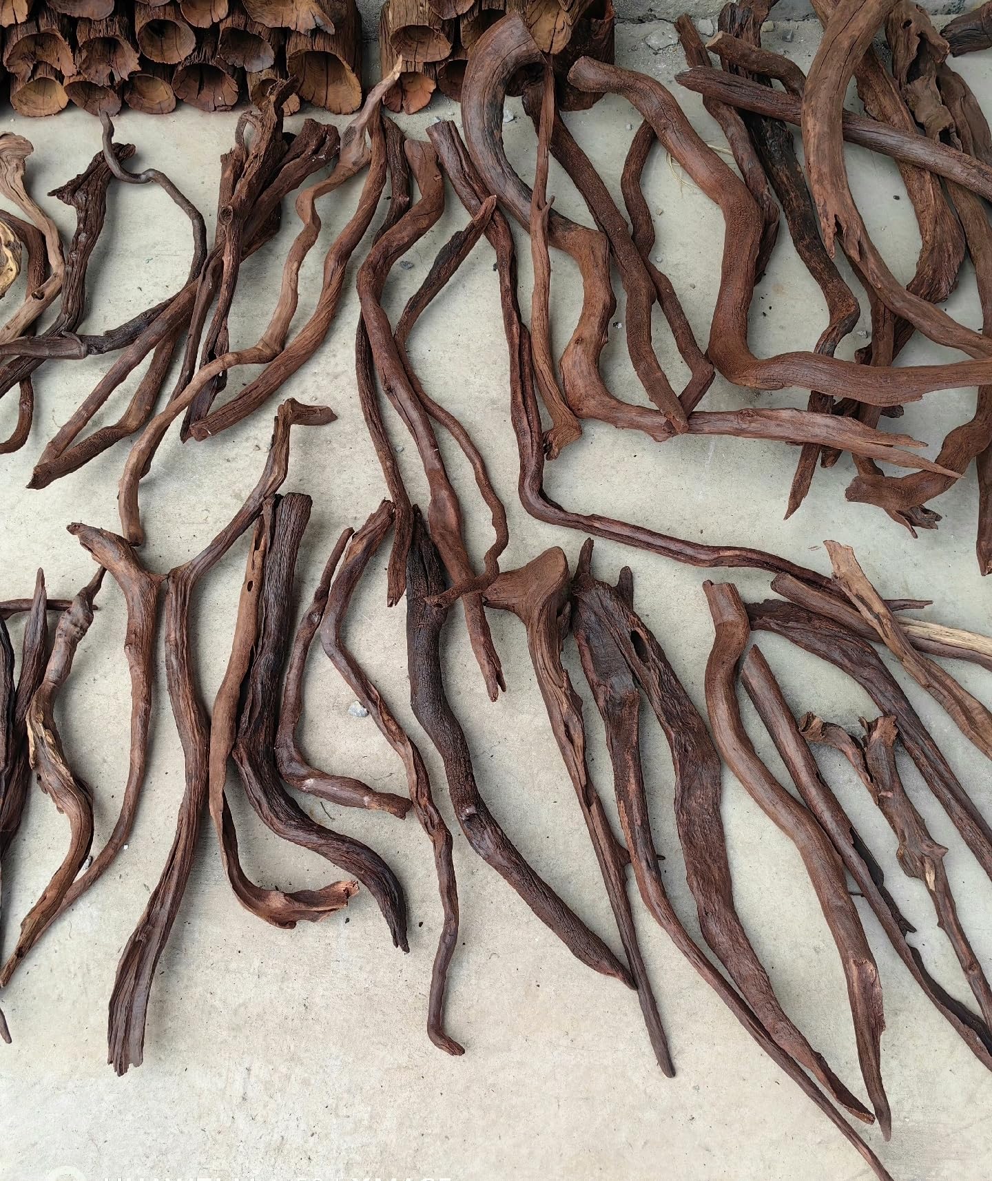 AWXZOM branches dans terrarium montrant surfaces d'escalade pour reptiles