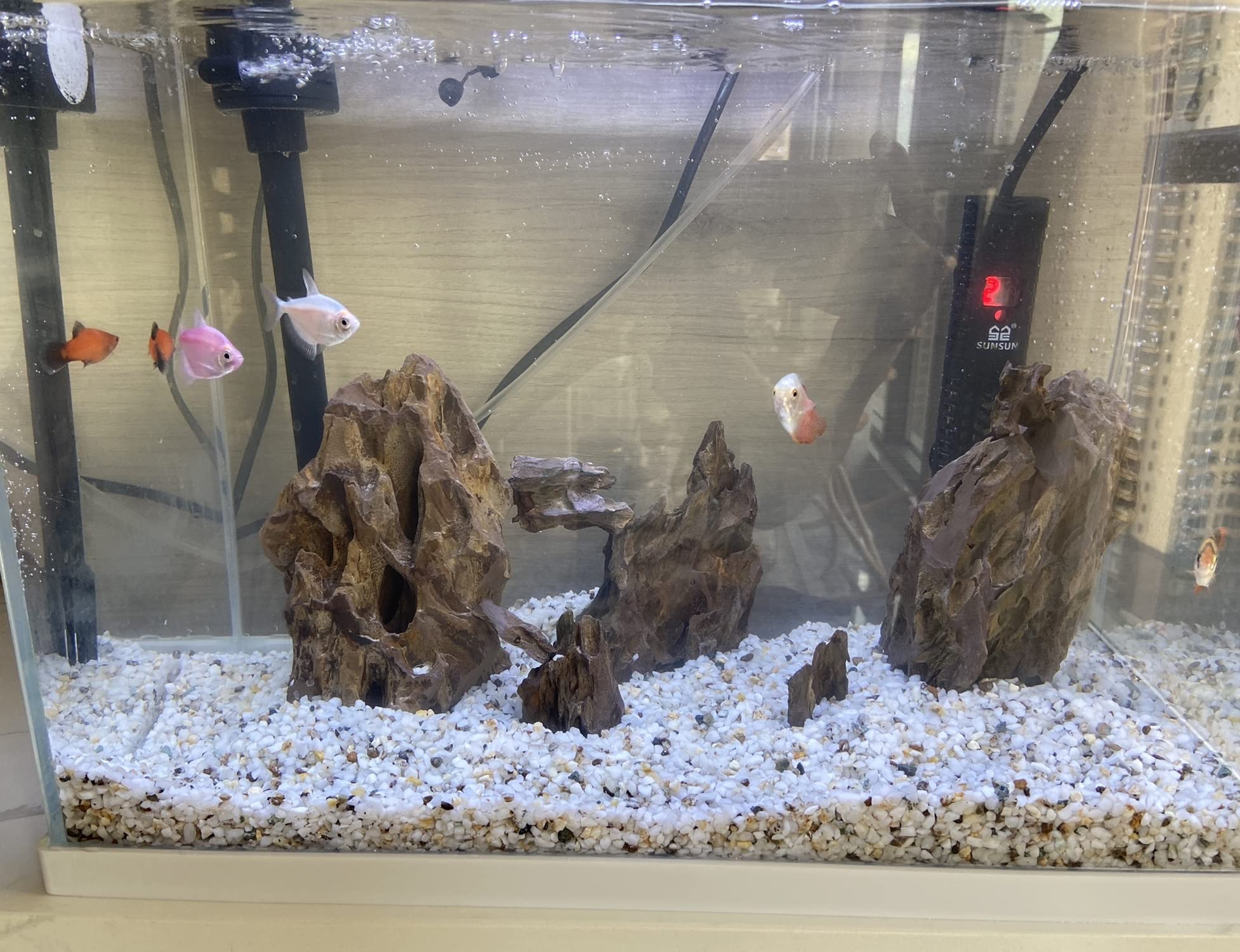 AWXZOM pierres dragon installées en aquarium créant refuges et reliefs