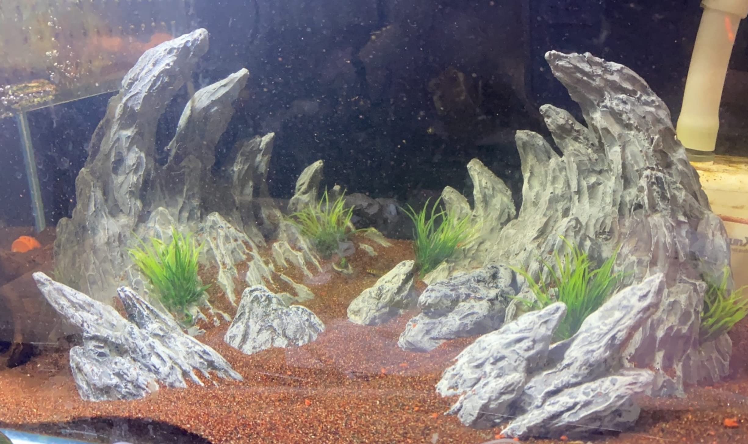 AWXZOM comparaison d'échelle montrant la taille des pierres pour aquariums 10–20 gal