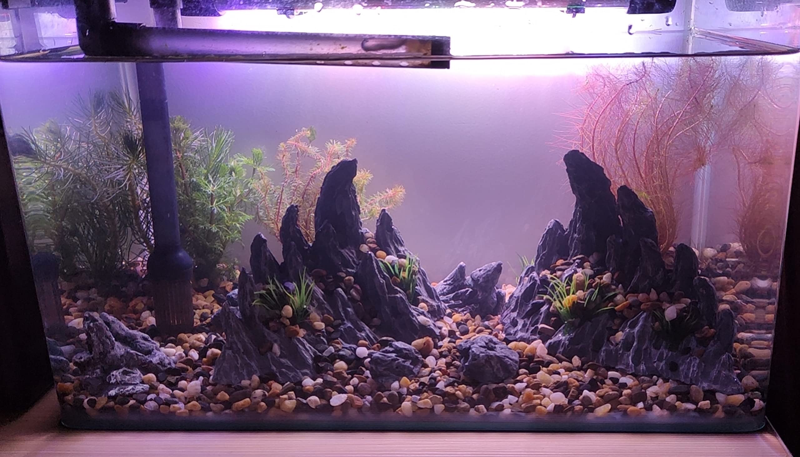 AWXZOM montage dans aquarium illustrant la création d'un paysage 3D et des caches
