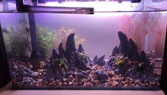AWXZOM montage dans aquarium illustrant la création d'un paysage 3D et des caches