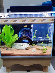 AWXZOM boîte fixée avec ventouses dans aquarium améliorant la sécurité