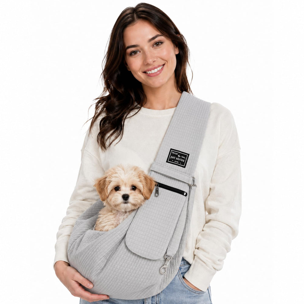 AXEARTE vue avant du porte-chien gris montrant design compact et pratique