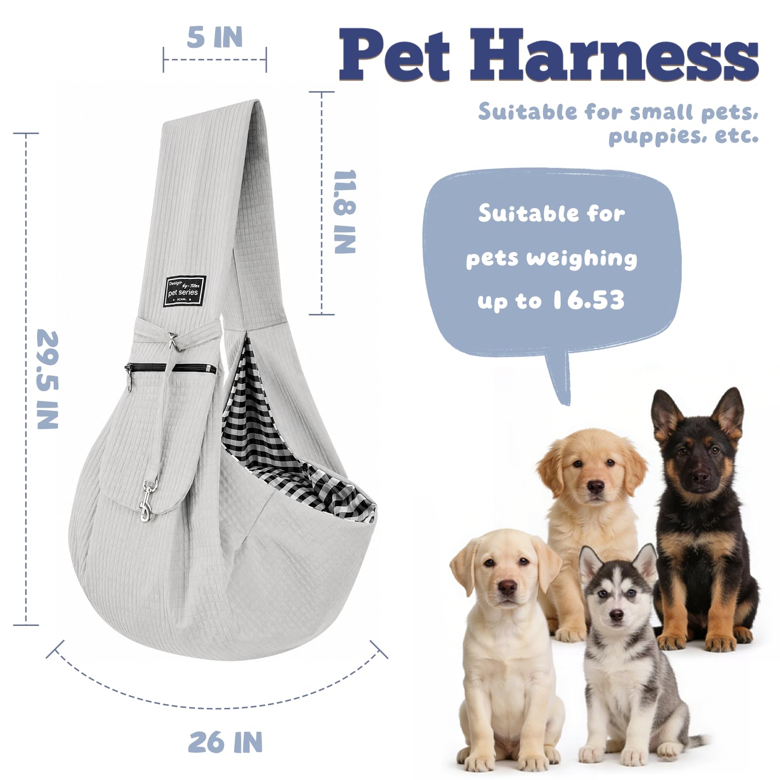 AXEARTE comparaison taille montrant échelle et adaptation aux petits chiens