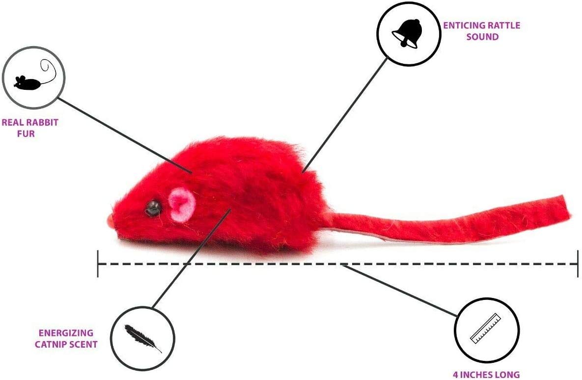 AXEL PETS comparaison de taille main et souris, montre la compacité du jouet