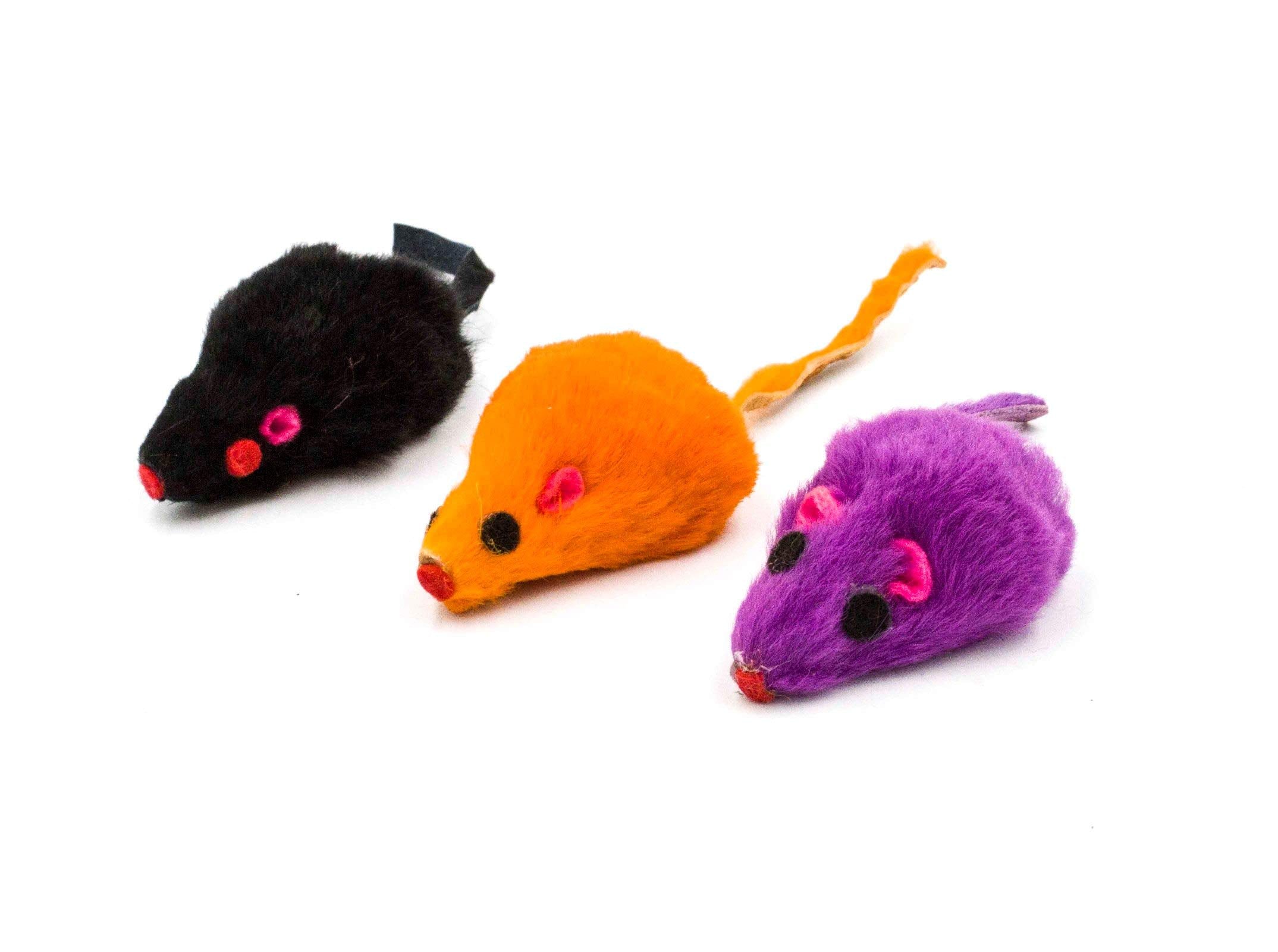AXEL PETS souris en jeu avec chat, encourage l'exercice et la chasse