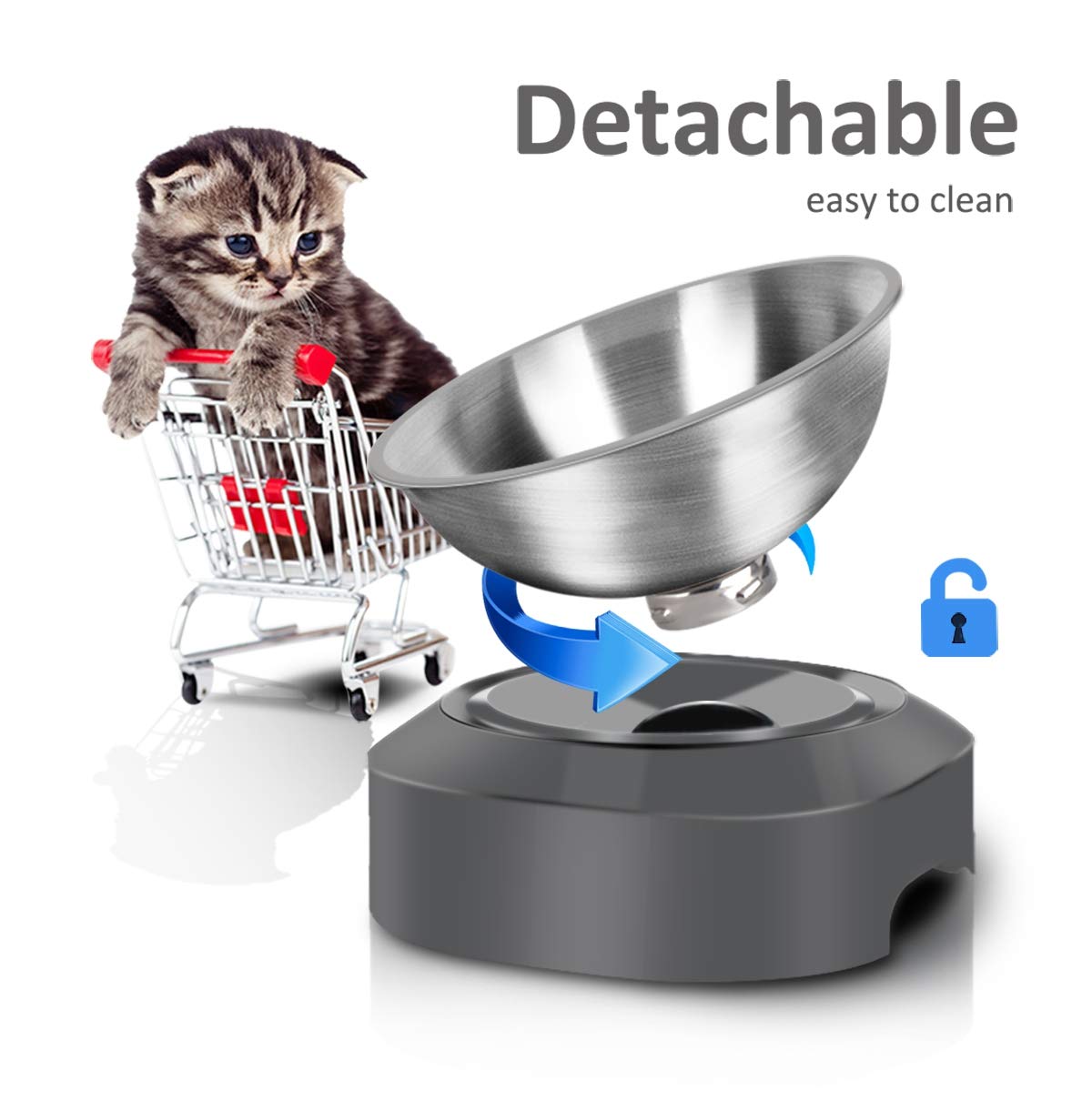 AYADA comparaison taille avec objet montrant adaptation petits chats