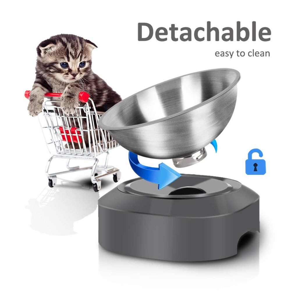 AYADA comparaison taille avec objet montrant adaptation petits chats