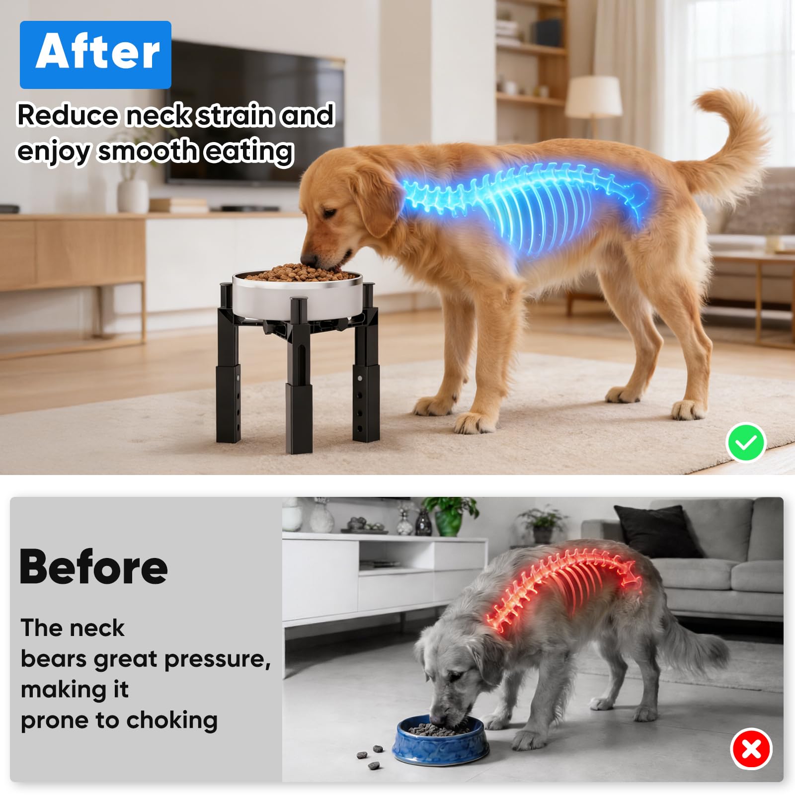 Aystkniet réglage des hauteurs illustré pour adapter au gabarit du chien
