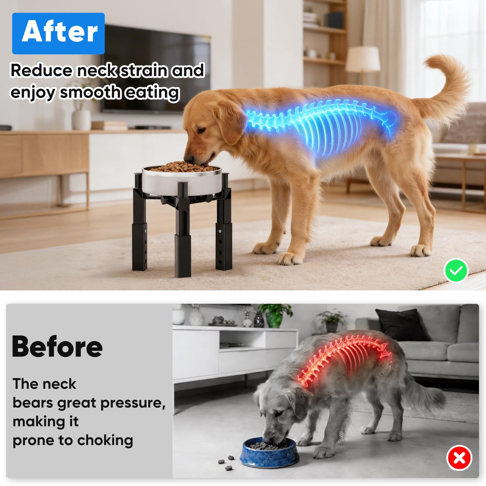 Aystkniet réglage des hauteurs illustré pour adapter au gabarit du chien