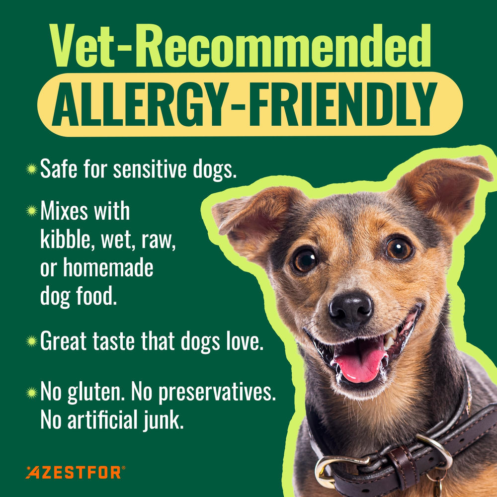 Azestfor chien mange avec poudre montrant acceptation alimentaire