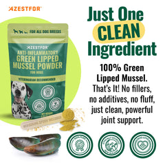 Azestfor détail de la poudre riche en nutriments pour mobilité