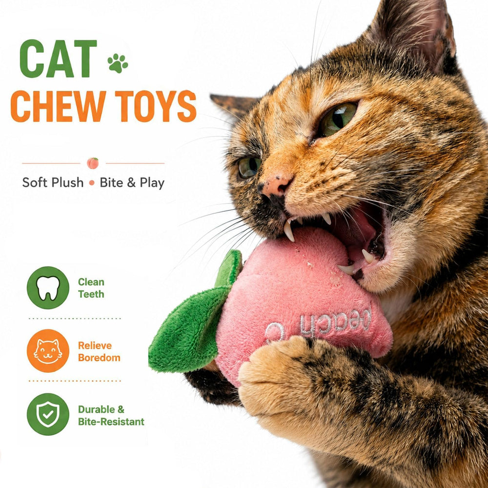 AZOFFYIU gros plan de la texture en peluche pour le confort du chat