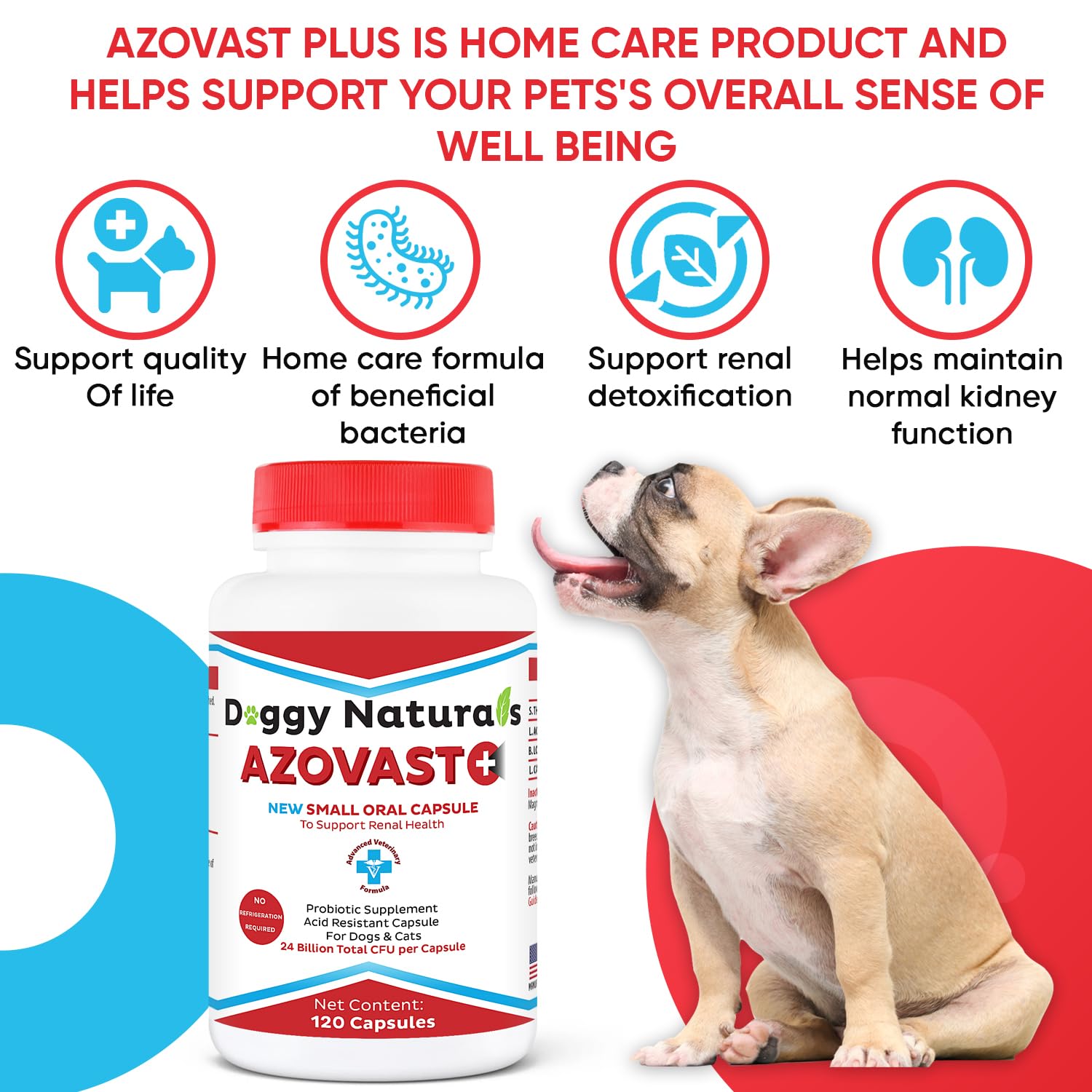 Pet Health Pharma chien mangeant repas avec Azovast Plus pour bien-être