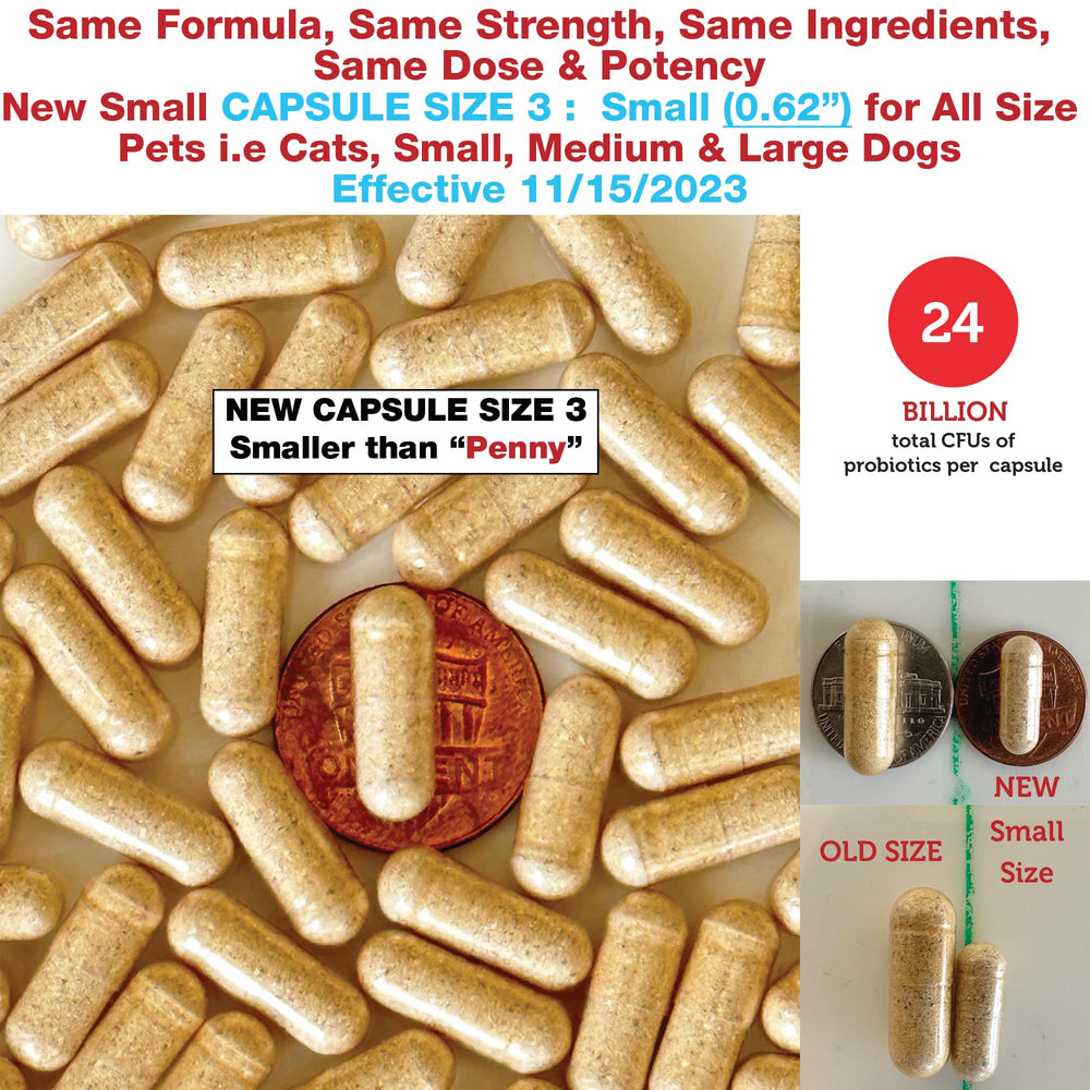 Pet Health Pharma poudre Azovast Plus mélangée à la nourriture pour acceptation