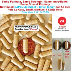 Pet Health Pharma poudre Azovast Plus mélangée à la nourriture pour acceptation
