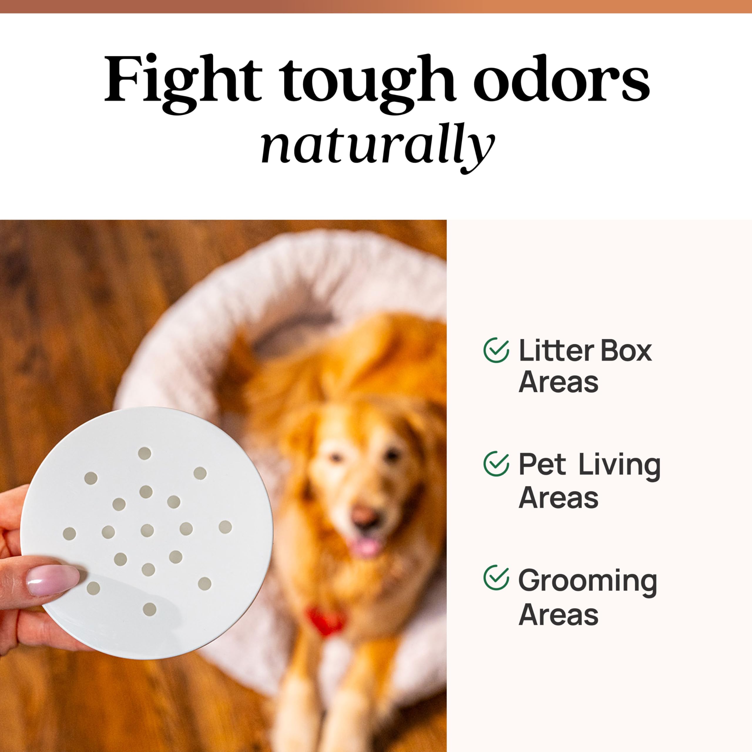 Azuna pod ouvert avec gel visible, illustrant la recharge facile et la sécurité