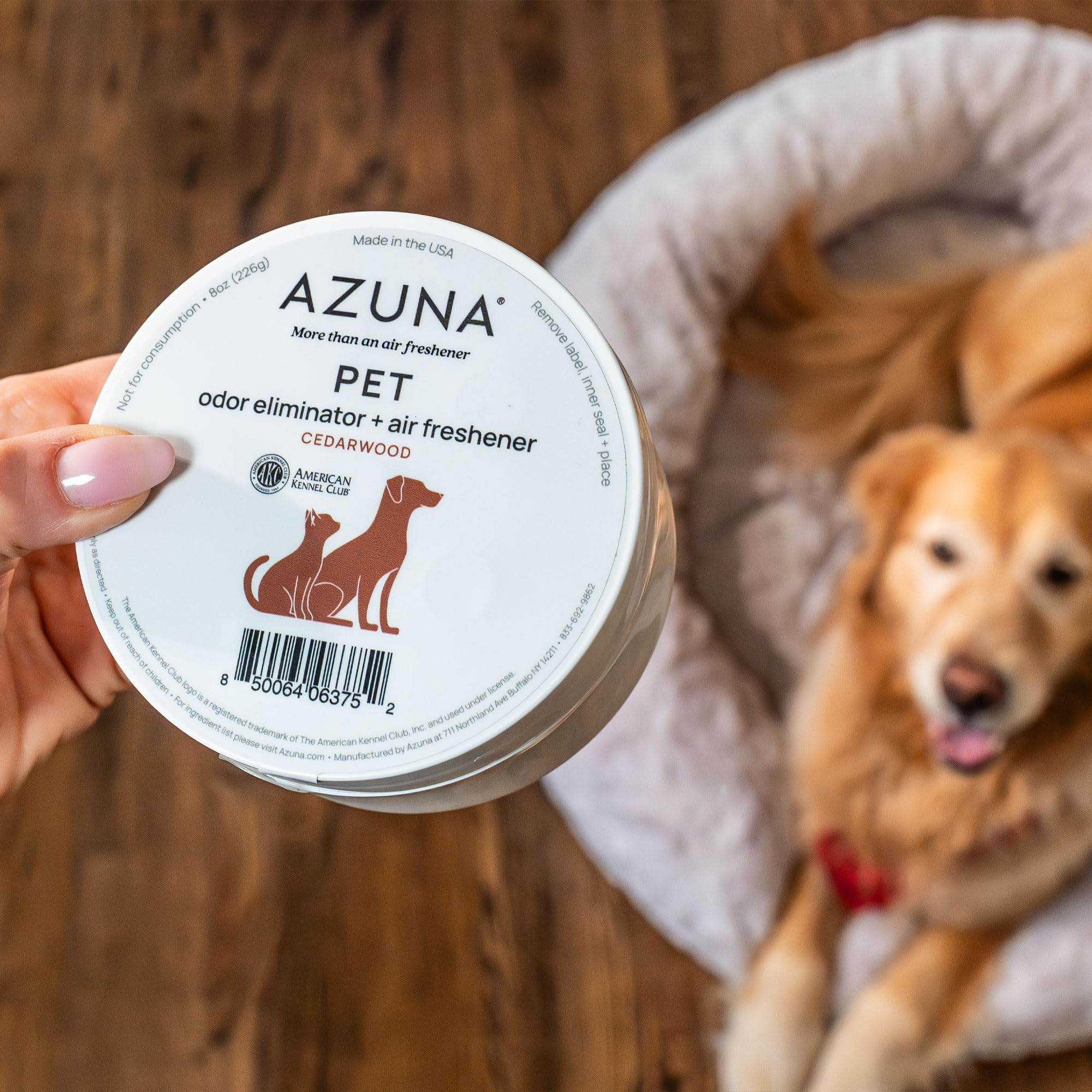 Pod Azuna dans un salon moderne illustrant un intérieur frais et adapté aux familles