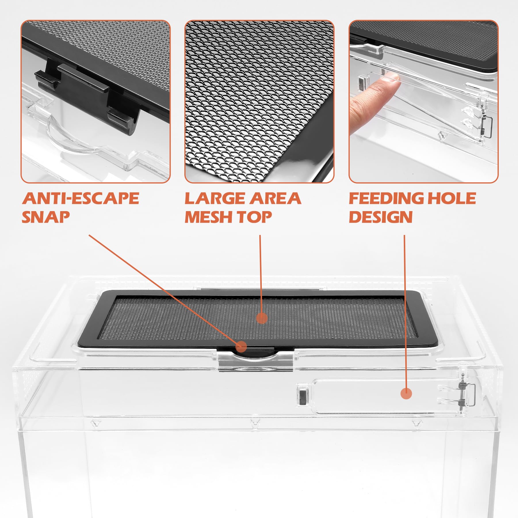 AZV accessoires assemblés incluant pinces, gamelle et vaporisateur pour entretien simple