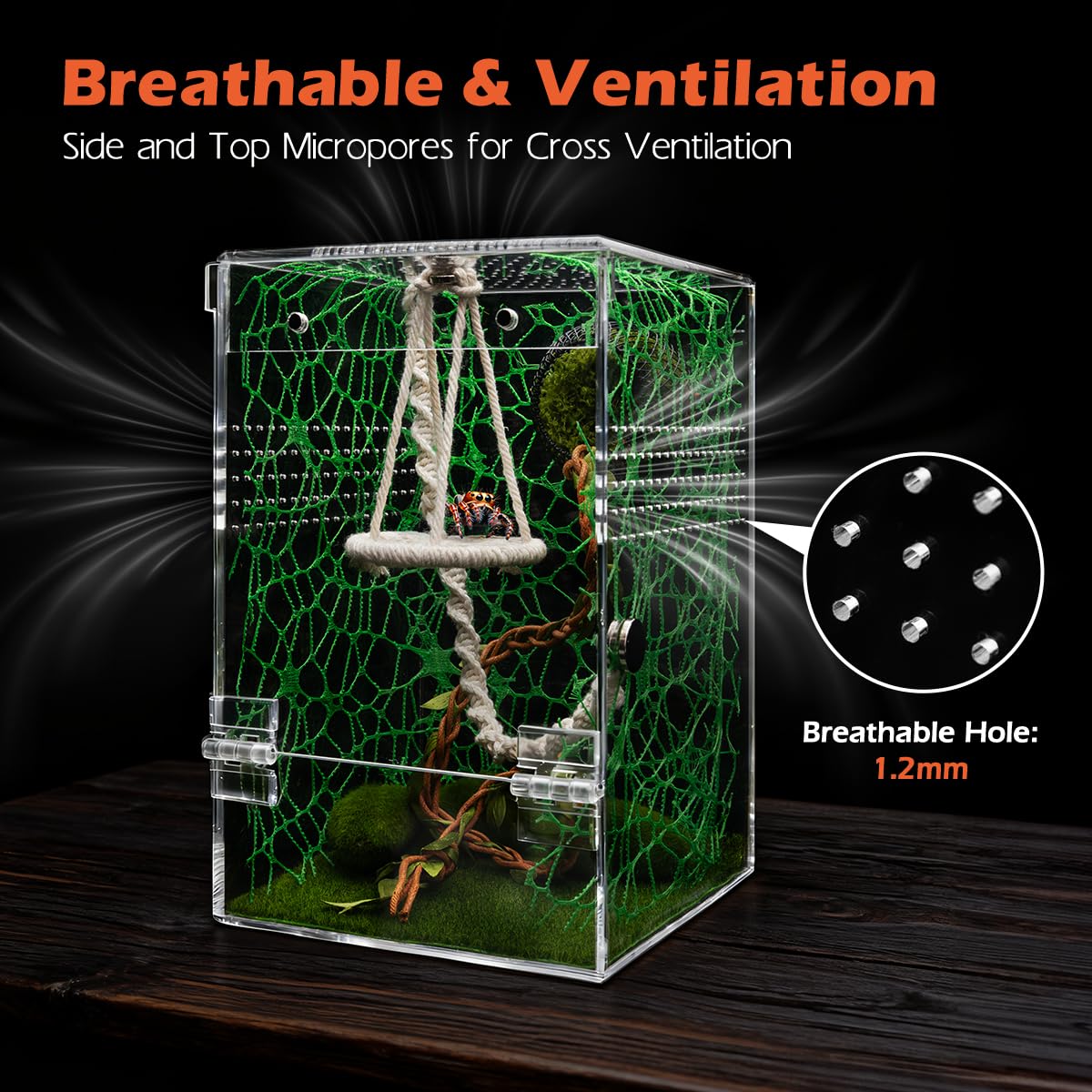 AZV acrylique très transparent offrant observation à 360°