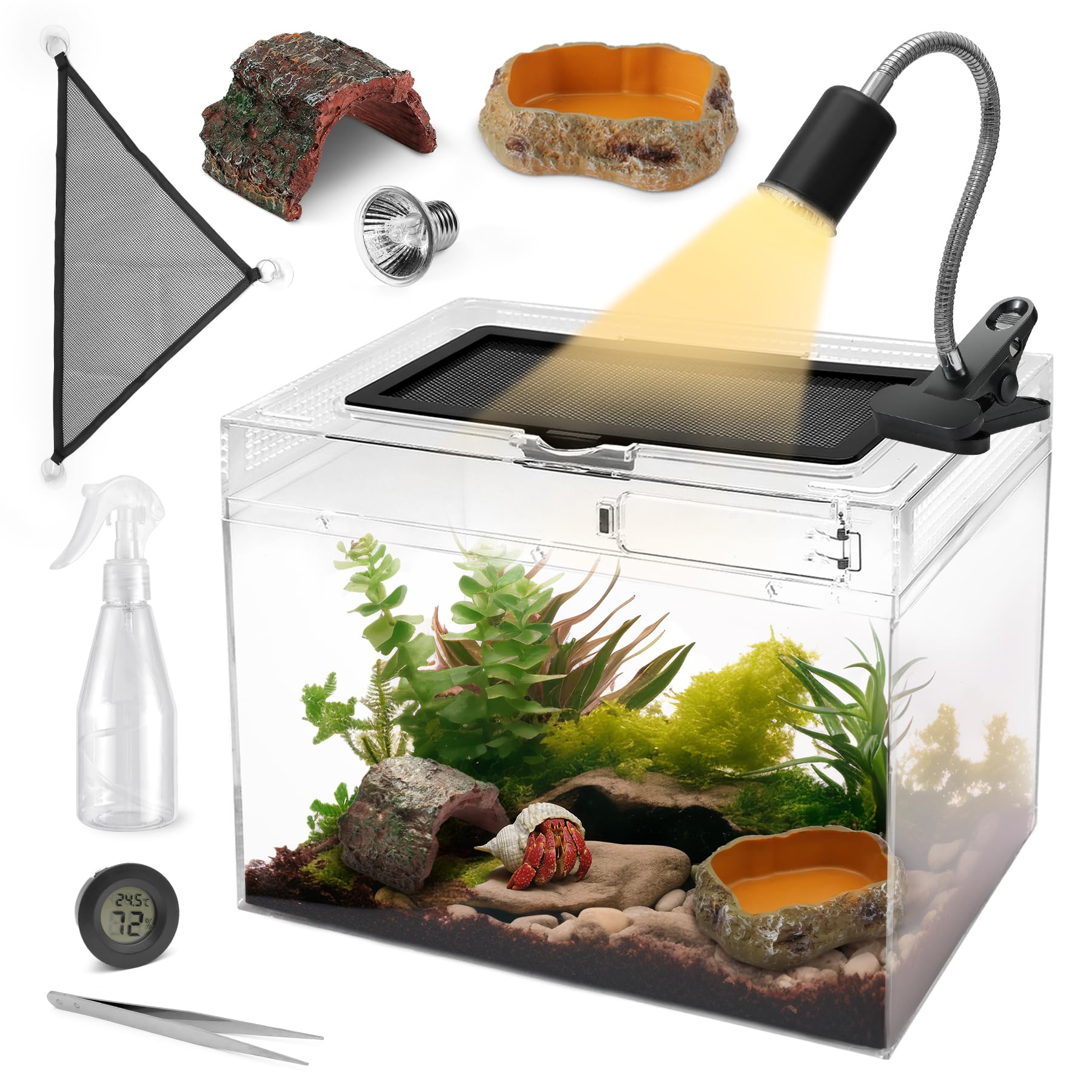 AZV terrarium vue avant montrant compartiment transparent pour observation facile