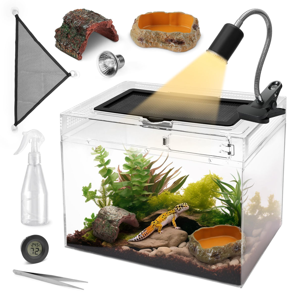 AZV terrarium face avant et visibilité optimale pour observation
