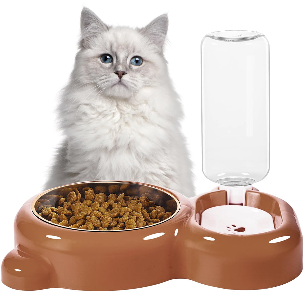 Azwraith comparaison d'échelle avec un chat pour visualiser la taille et capacité