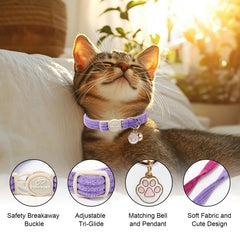 Babole Pet boucle breakaway en gros plan pour sécurité anti-accrochage