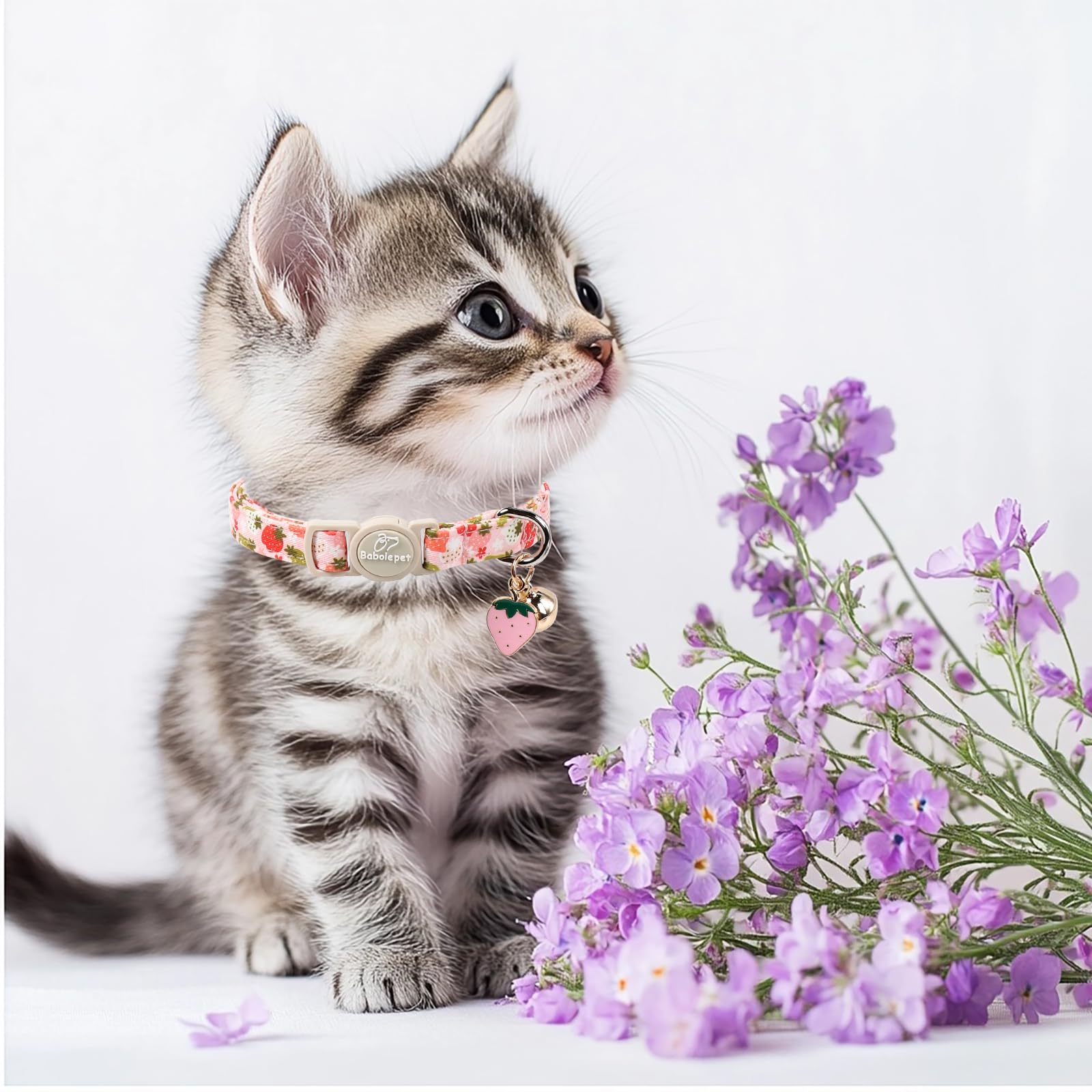 Babole Pet comparaison taille collier démontrant fit pour chatons