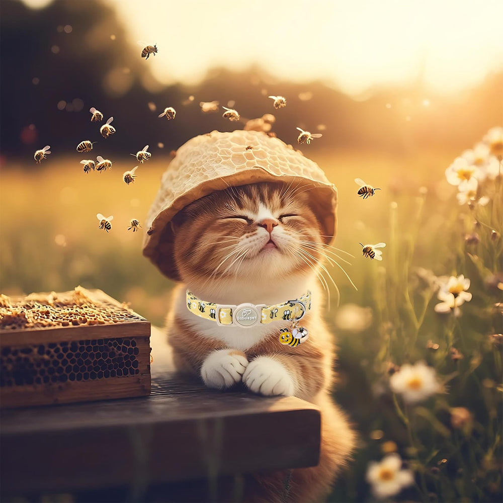 Babole Pet comparaison taille illustrant réglage pour chatons et petits chiens
