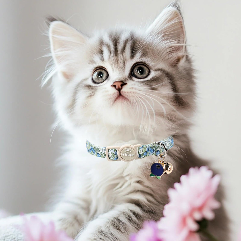 Babole Pet pendentifs fraise et myrtille ajoutant charme et personnalisation