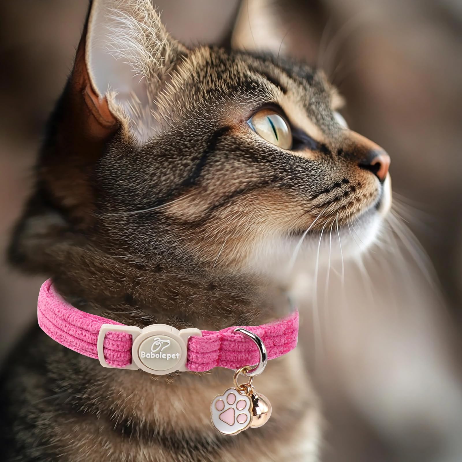 Babole Pet comparaison taille avec règle, ajustement 7,8–12 pouces
