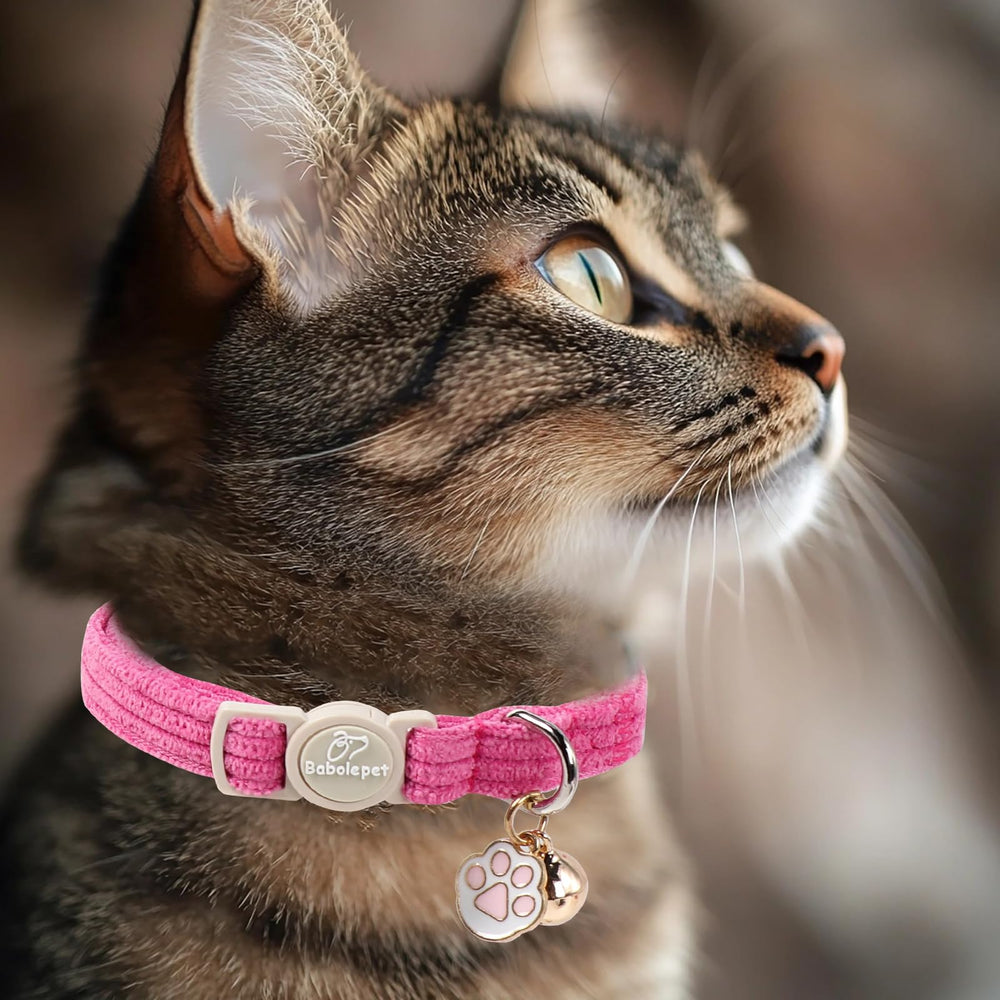 Babole Pet comparaison taille avec règle, ajustement 7,8–12 pouces