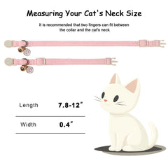 Babole Pet collier porté par un chat, maintien doux et ajustable