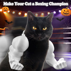 babyye bras musclé porté par chat en action pour photos amusantes