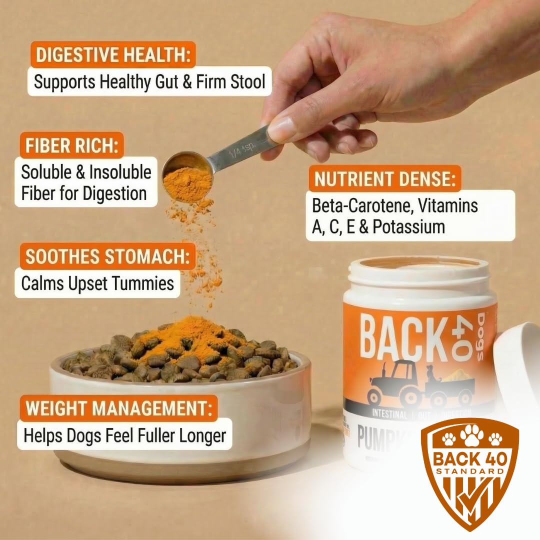Back 40 Dogs purée réhydratée prête à être servie, appétence augmentée