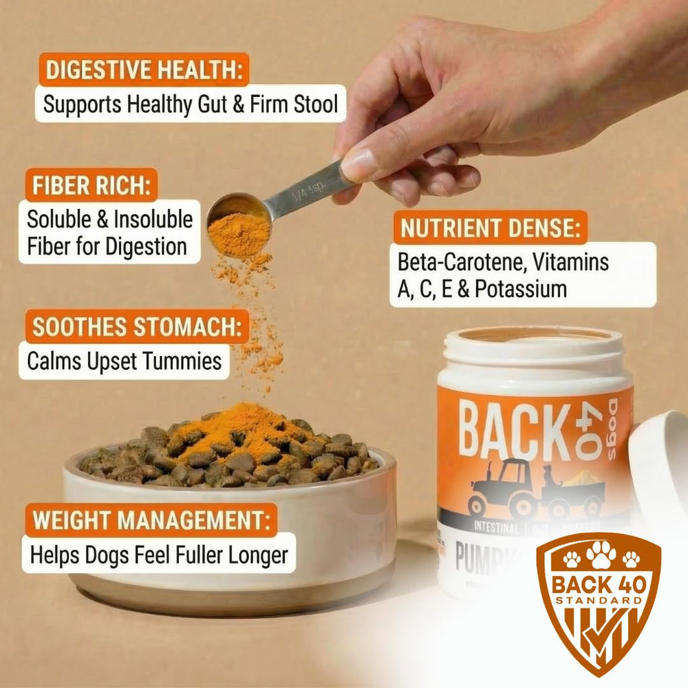 Back 40 Dogs purée réhydratée prête à être servie, appétence augmentée