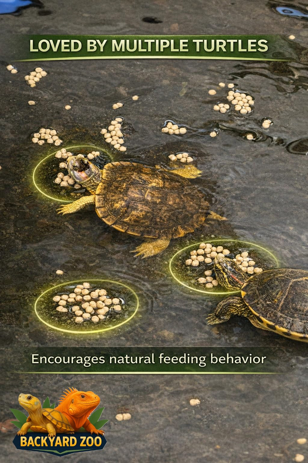 Backyard Zoo bocal de conservation préservant fraîcheur et nutriments