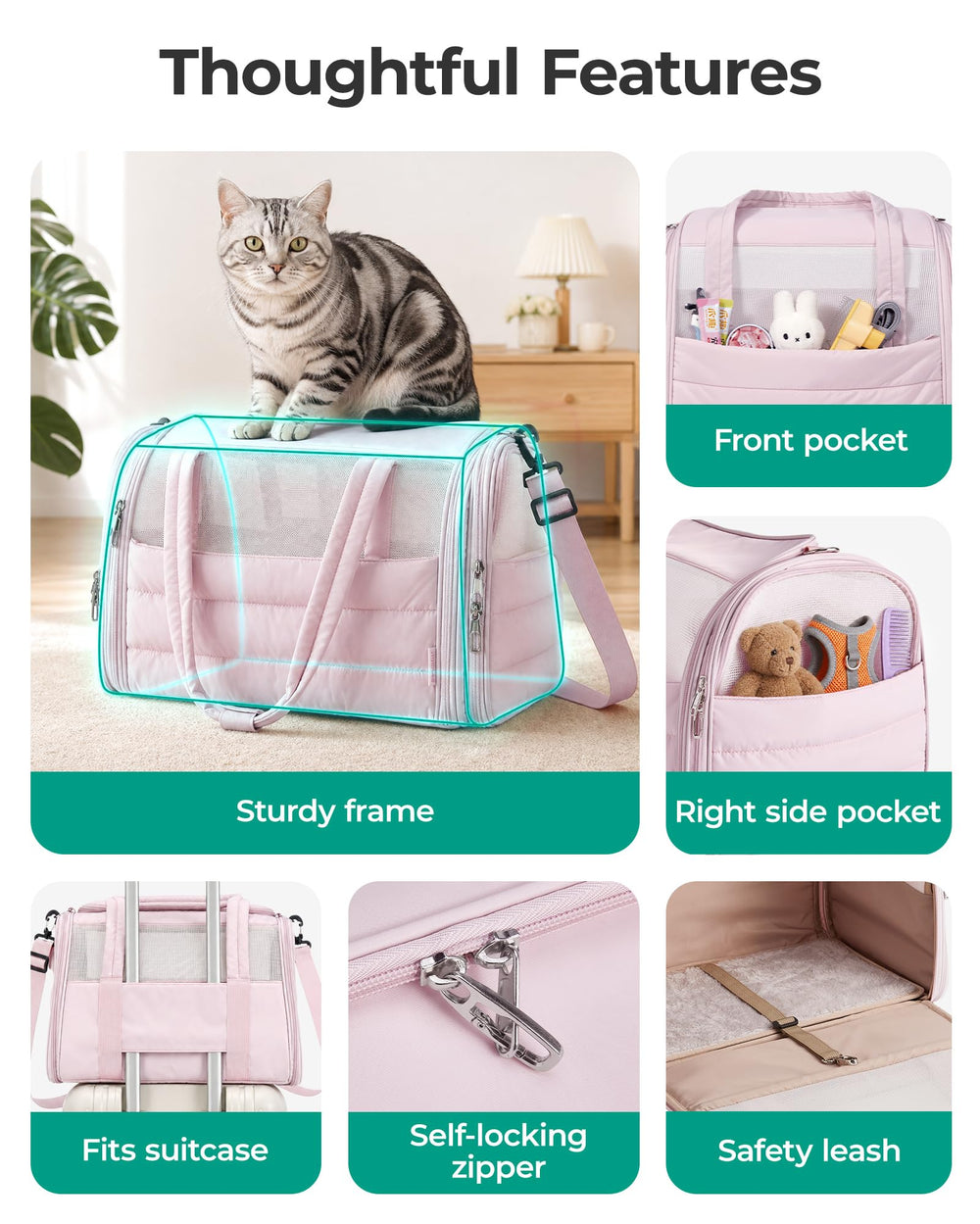 BAGSMART comparaison d’échelle montrant capacité pour animal de petite taille