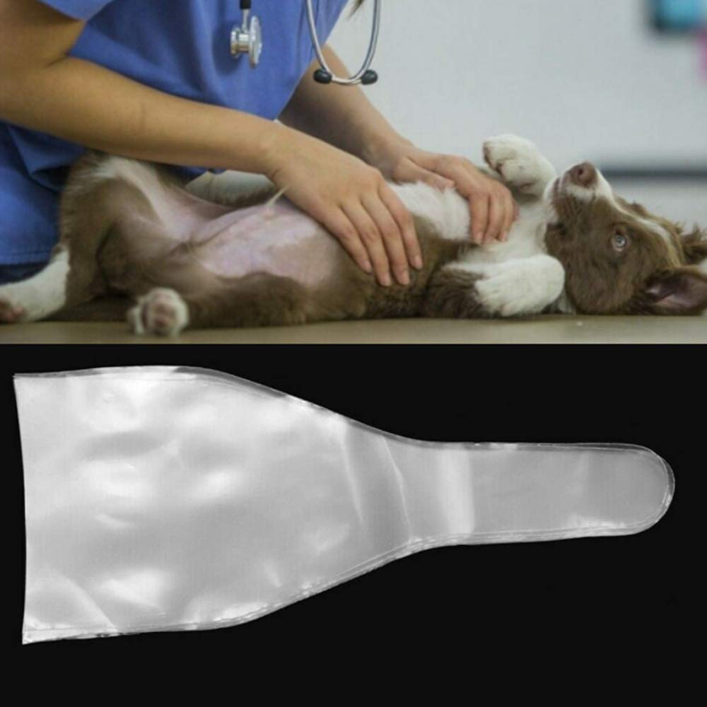 Baihui comparaison taille avec règle montrant dimensions pratiques et échelle