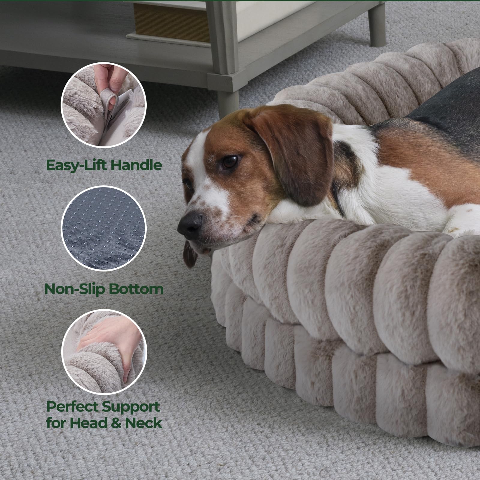 BALANCE comparaison taille avec règle montrant espace pour grand chien