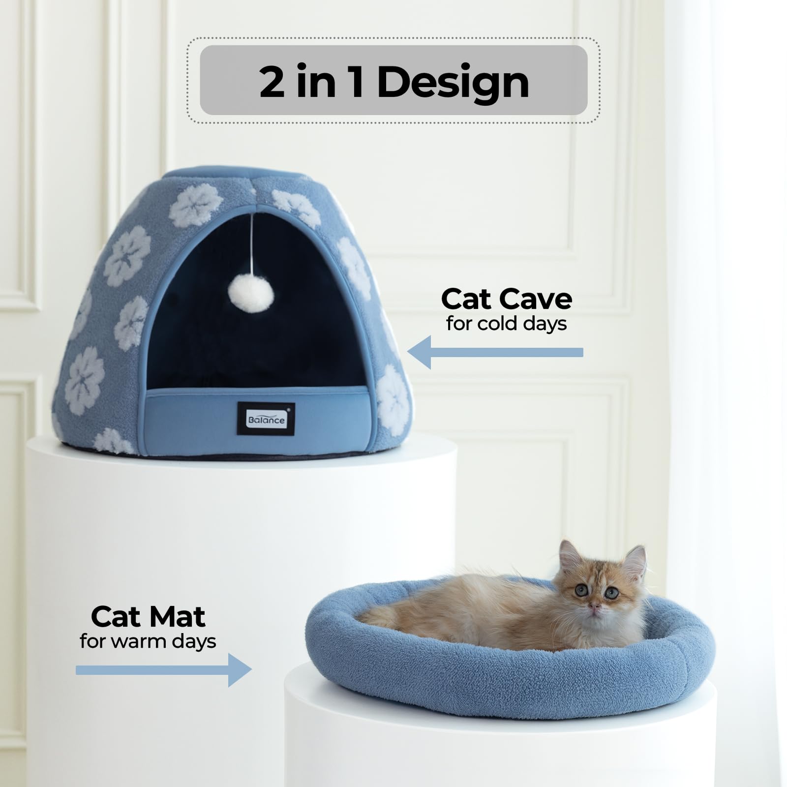 BALANCE comparaison taille 48 cm pour chatons et petits chiens
